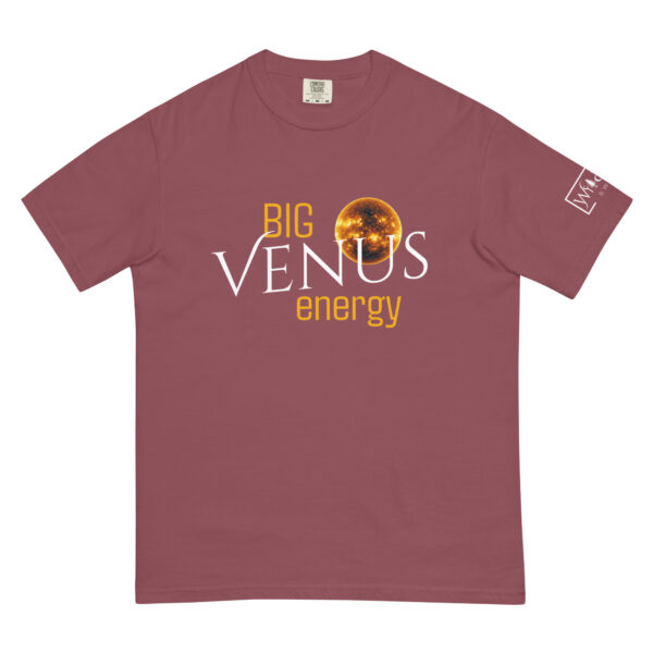 Big Venus Energy - Image 7