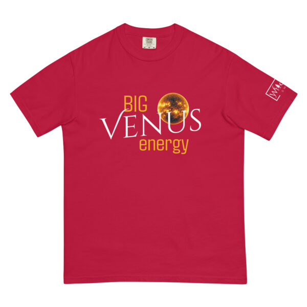 Big Venus Energy - Image 21